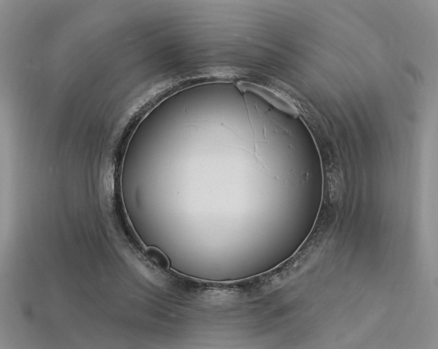 X0000115850350200911131556
