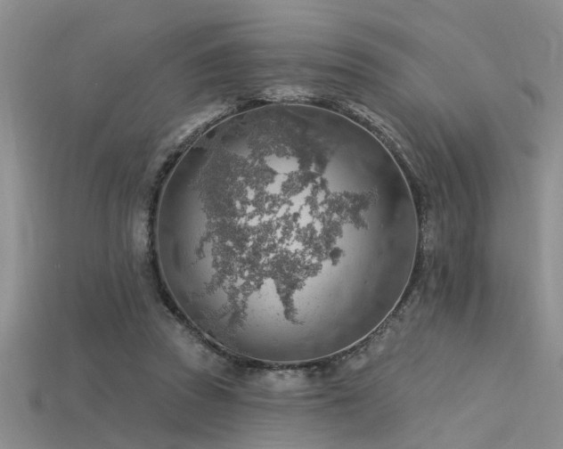 X0000115850353200911131556