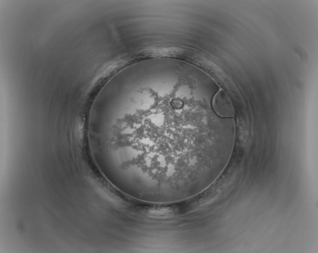 X0000115850357200911131556