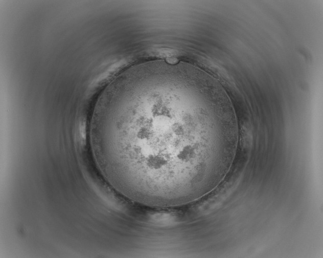 X0000115850358200911131556