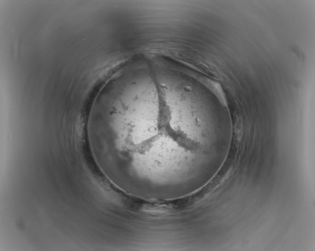 X0000115850359200911131556