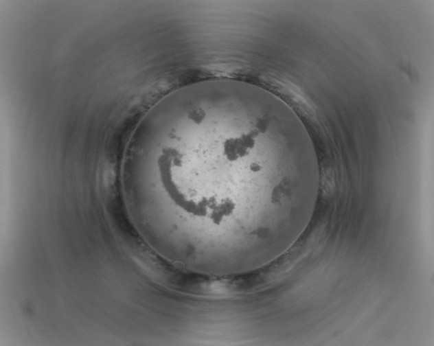 X0000115850365200911131556