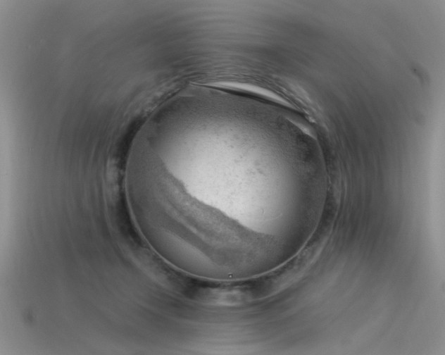 X0000115850366200911131556