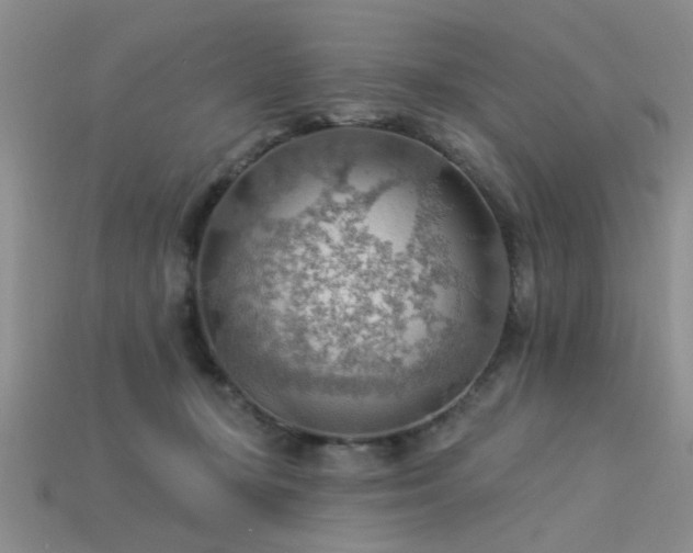 X0000115850367200911131556