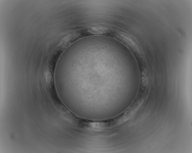 X0000115850371200911131556
