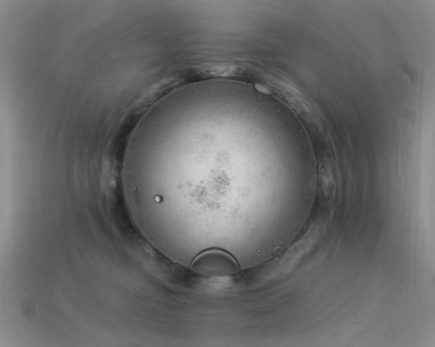 X0000115850374200911131556