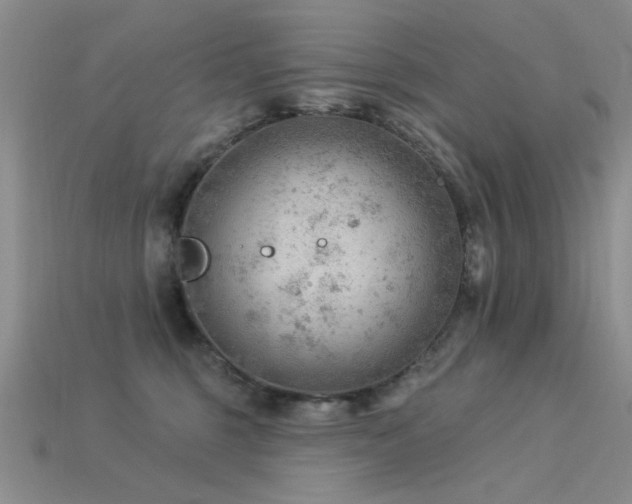 X0000115850375200911131556