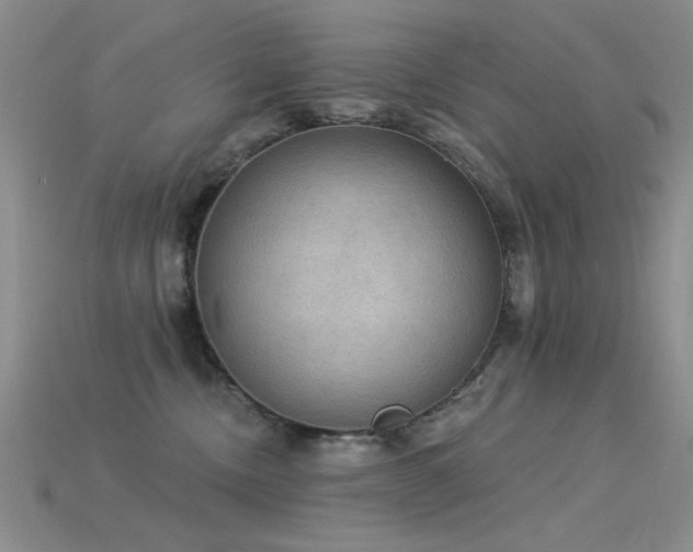 X0000115850378200911131557