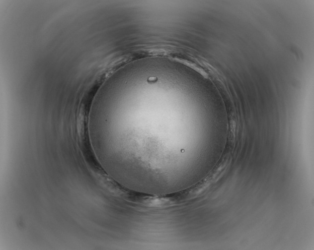 X0000115850379200911131557