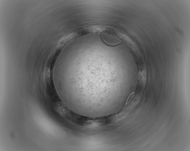 X0000115850381200911131557