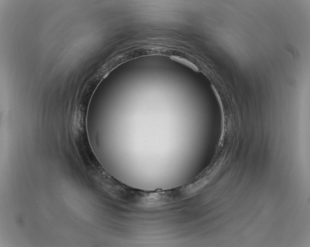 X0000115850382200911131557