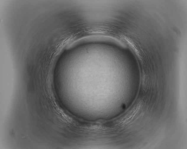 X0000115850385200911131556