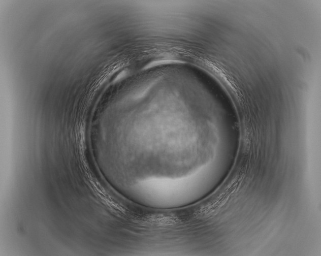 X0000115850386200911131556