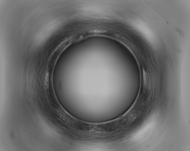 X0000115850387200911131556