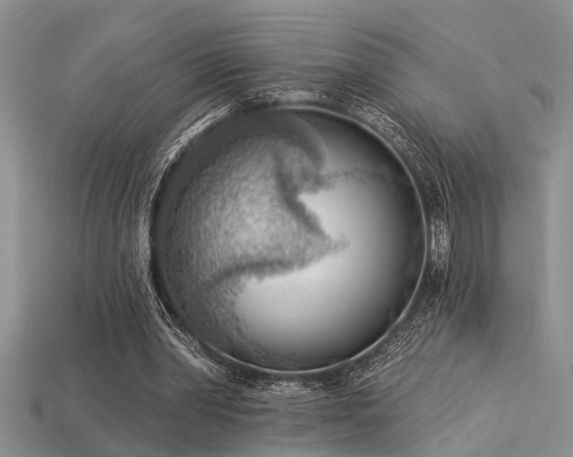 X0000115850390200911131556