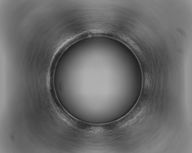 X0000115850391200911131556