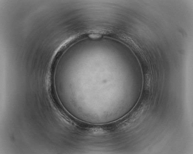 X0000115850392200911131556