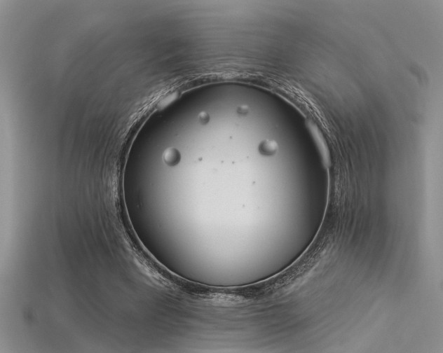 X0000115850393200911131556
