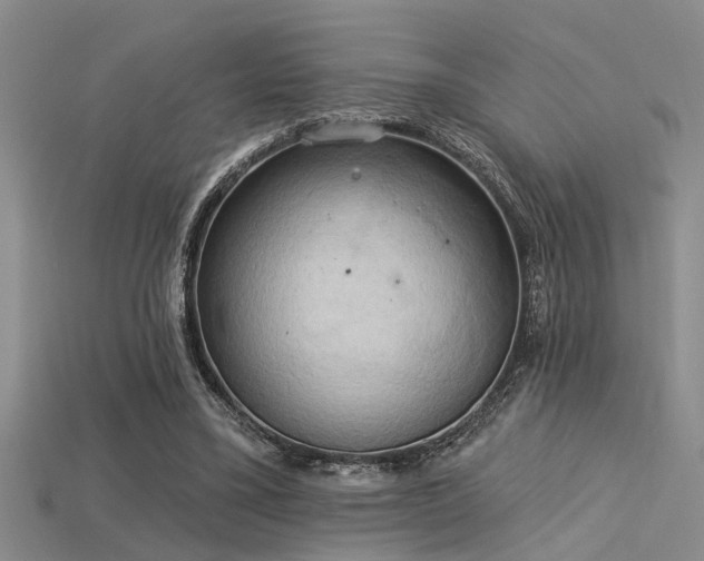 X0000115850395200911131556