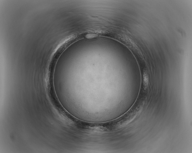 X0000115850396200911131556