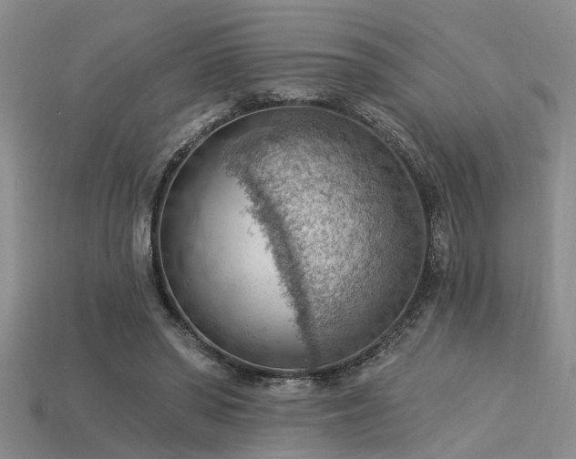 X0000115850398200911131556