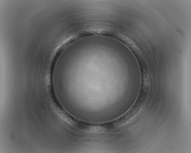 X0000115850399200911131556