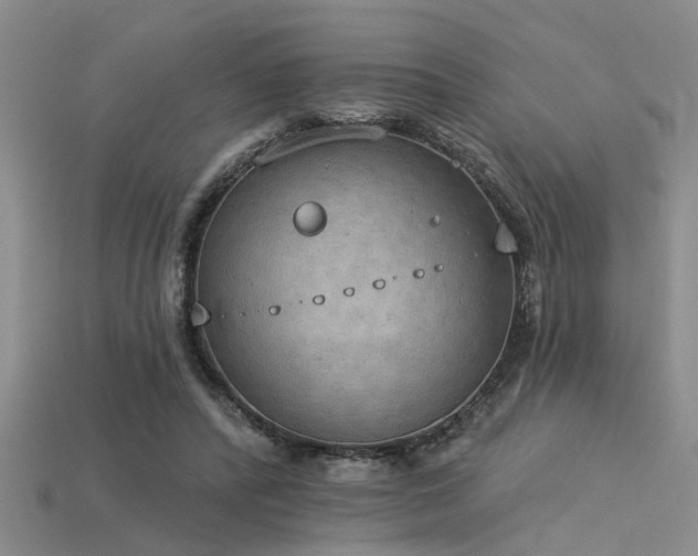 X0000115850400200911131556