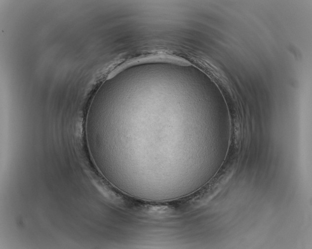 X0000115850401200911131556