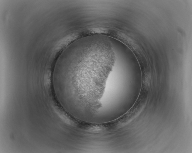X0000115850402200911131556