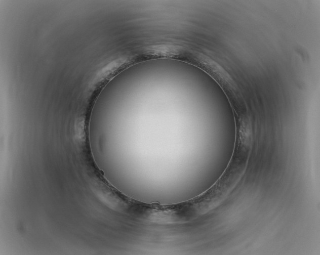 X0000115850403200911131556