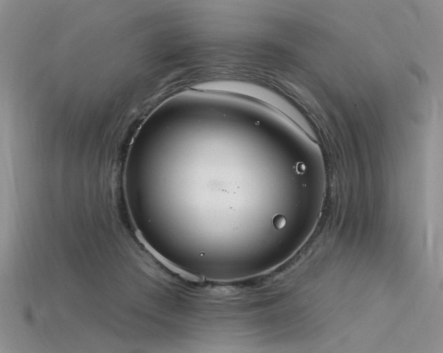 X0000115850409200911131556