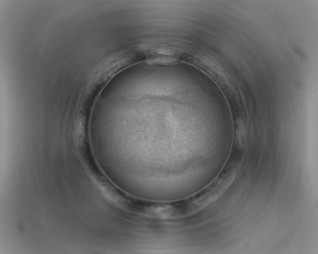 X0000115850410200911131556