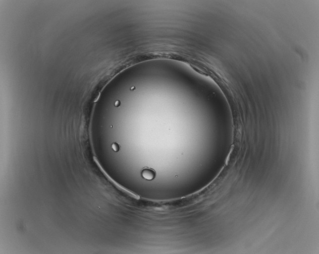 X0000115850411200911131556
