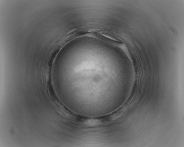 X0000115850413200911131556