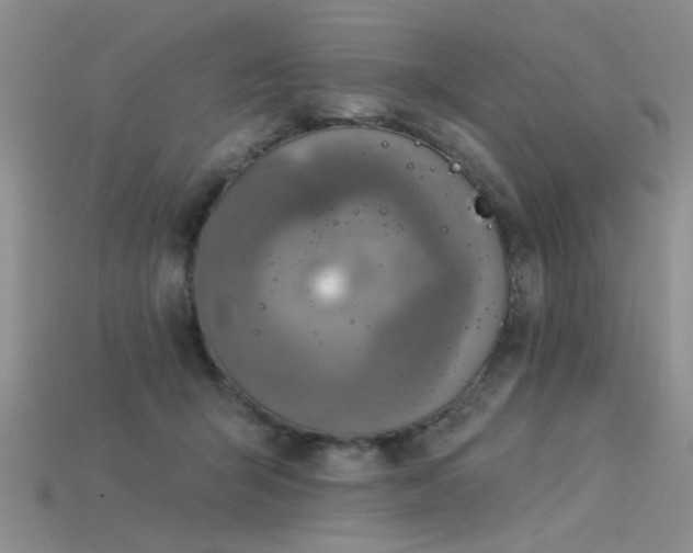 X0000115850415200911131556