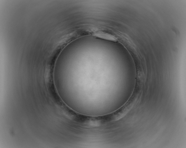 X0000115850416200911131556