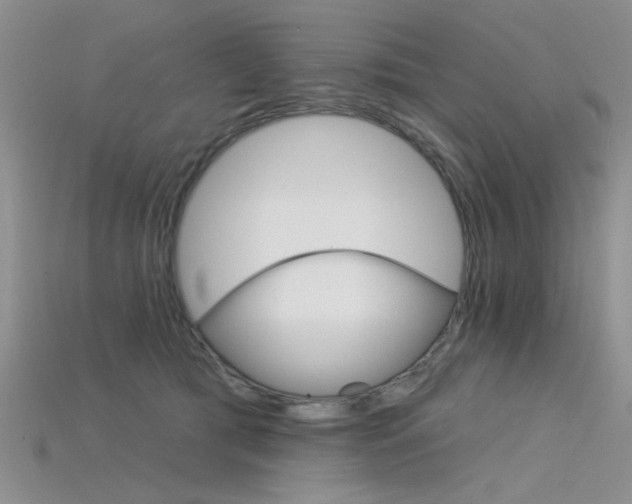 X0000115850417200911131556