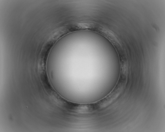 X0000115850418200911131556