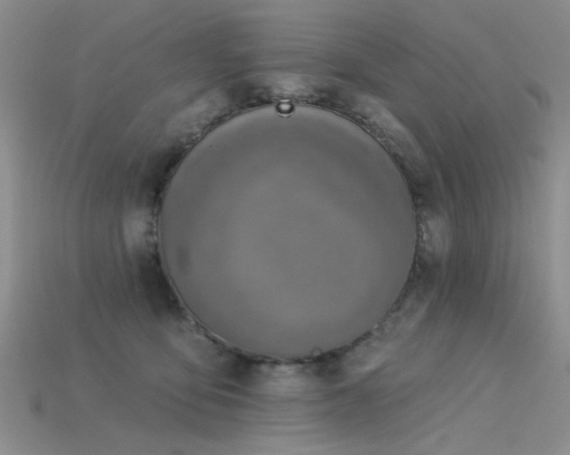 X0000115850419200911131556