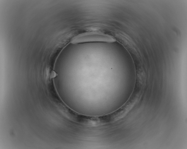 X0000115850420200911131556