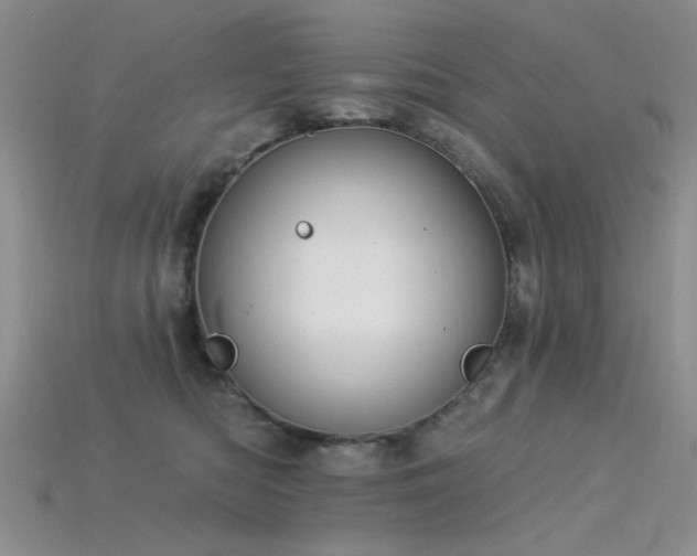 X0000115850422200911131556