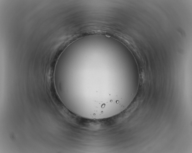 X0000115850423200911131555
