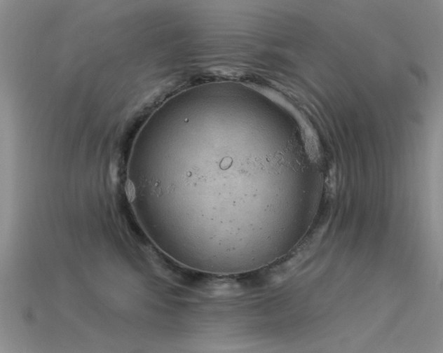 X0000115850424200911131555