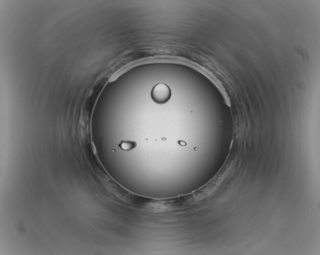 X0000115850425200911131555