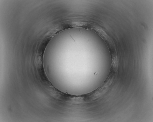 X0000115850426200911131555