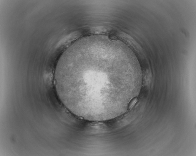 X0000115850427200911131555