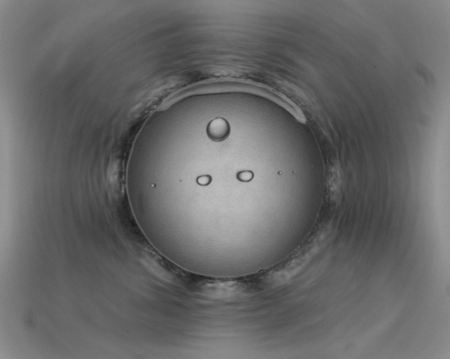 X0000115850428200911131555