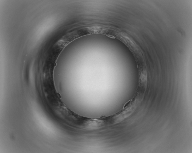 X0000115850429200911131555