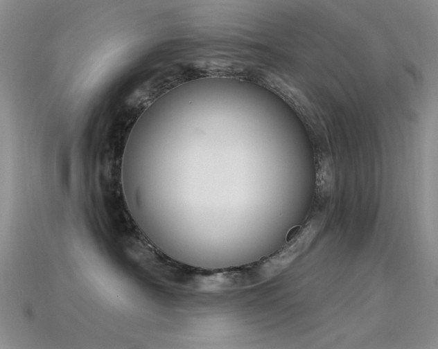 X0000115850430200911131555