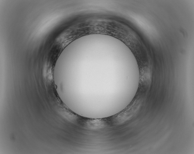 X0000115850431200911131555
